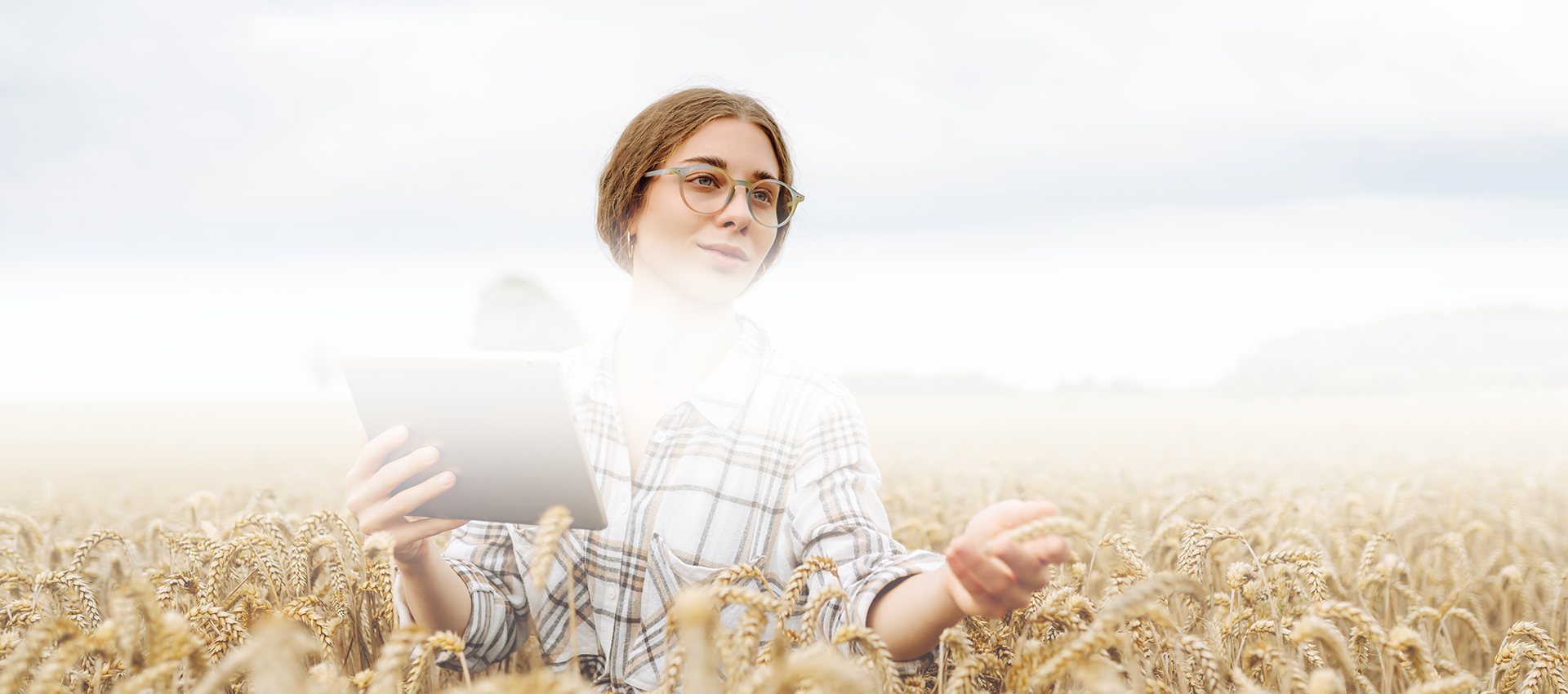 Die vielen Facetten des landwirtschaftlichen Lebens