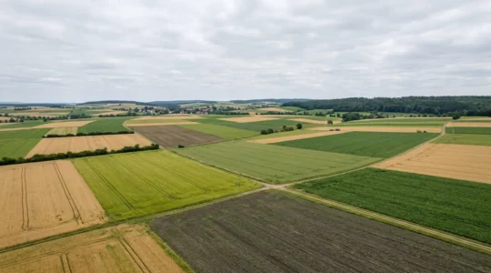 Landwirtschaftliche Felder mit verschiedenen Kulturen in einer erweiterten Fruchtfolge zur Bekämpfung resistenter Krankheiten